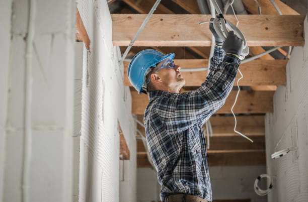 Best Residential Electrician Services  in Lewisburg, KY